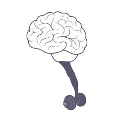 Brain connected with hand holding dumbbell for healthy lifestyle and wellbeing. Productivity, effectiveness. Intelligence and knowledge development with brain performance. Thoughts, and idea pumping