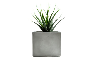 sleek, modern concrete planter with a smooth, minimalist finish. Isolated on white background.