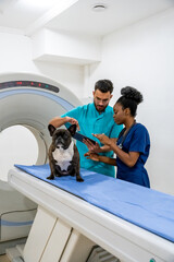 Two veterinarians discussing treatment for the sick dog and looking involved