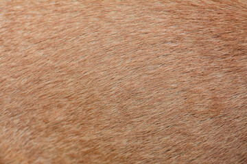 Brown fur texture abstract style
