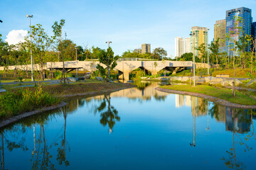 Green scene nature forest park with river public city park blue sky with cloud