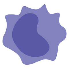 abnormal white blood cell