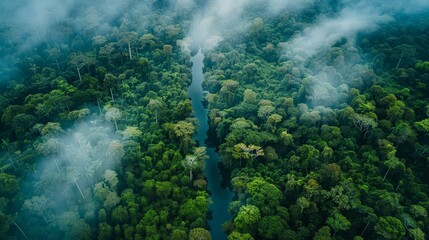 Forests breathe life into the lungs of our planet.
