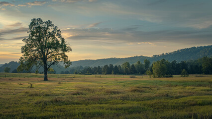 Fototapeta premium Southern Landscape at Sunrise
