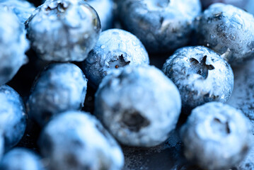 Several wet blueberries close-up