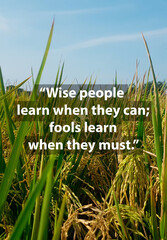 motivational quotes from great people that will give you the impetus to be a good person. quote in the form of a poster	