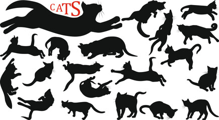 set of silhouettes of cats and kittens walking, eating and sleeping black on a white background