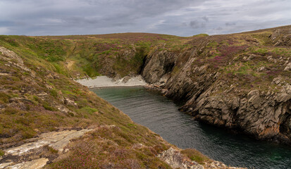 Views around South Stack lighthouse with the heather blooming