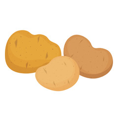 Vector cartoon image of a potato. Food and cooking concept. Root crop grown in the field. Element for your design
