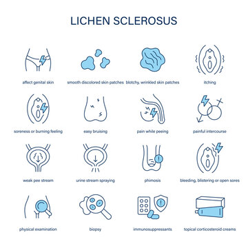 Lichen Sclerosus symptoms, diagnostic and treatment vector icons. Medical icons.