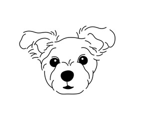 Vector isolated simple dog portrait lapdog yorkshire terrier breed tattoo colorless black and white contour line easy drawing