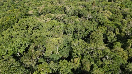 Panorama from the top of the forest reserve in Apucarana in 
 environment.  Raposa ecological park. With forest forest of biodiversity and conservation.