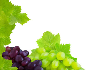 Weintrauben und Weinblätter Hintergrund transparent PNG cut out  Vine grapes and leaves