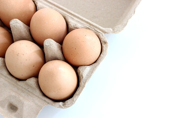 The organic eggs in egg tray isolated on the white background