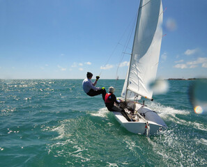 sailing regatta in sea