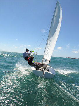 sailing regatta in sea