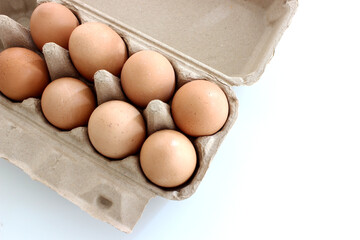 The organic eggs in egg tray isolated on the white background