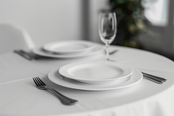 a fine porcelain, plates on white table setting