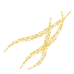 Gold rope isolated on white background.Abstract shiny gold glitter design element.Gold Texture. Set gold dust Light Golden Confetti. Golden Illustration Backdrop.