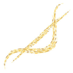 Elegant png element sparkle and golden borders. Lace illustration for invitations and greeting cards. Gold stroke on transparent background.