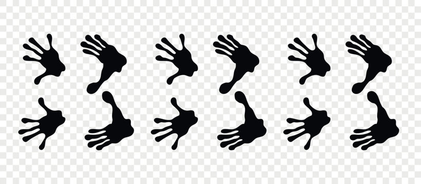 Footpath trail of animal. Lemur paws. Lemur paws walking randomly print vector isolated on checkered background.	