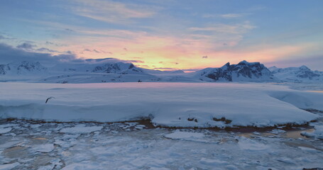 Amazing evening Antarctica mountain landscape with sea gulls flying colorful sky. Frozen snow covered polar ocean. Discover the beauty of South Pole wildlife nature. Antarctica travel and exploration