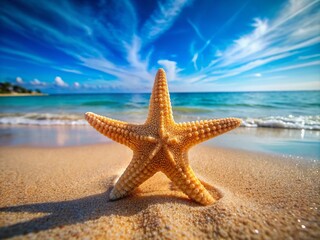 A serene starfish relaxes on the sandy beach, its delicate arms stretched out in a peaceful pose, exuding tranquility and stillness in the calm environment.