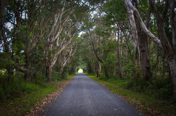 Obraz premium Storms Byron Bay Lennox Head 