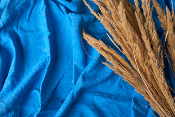 Dried pampas grass stems with a light brown color lying on a blue fabric background.
