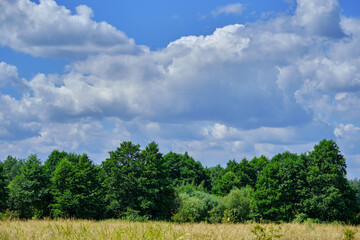 Obraz premium pre-storm clouds