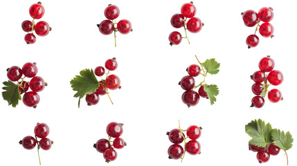 Set of redcurrants isolated on white, no background.