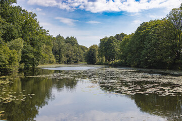 View over the mill pond near Aumühle