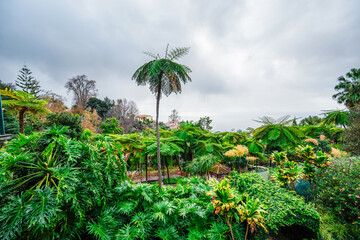 Monte Palace, Tropical Garden with Waterfalls, Lakes and traditional buildings above the city of...