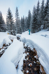 Alpine mountains landscape with white snow and blue sky. Sunset winter in nature. Frosty trees under warm sunlight. Wonderful wintry landscape. Low Tatras, Slovakia