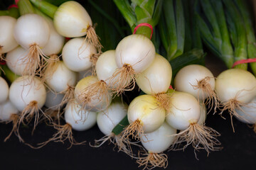 oinion with stem white and green organic food fresh spices
