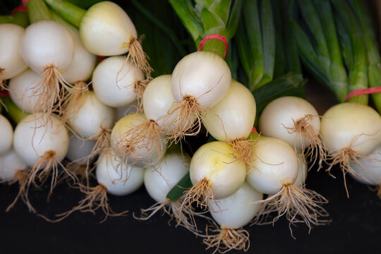 oinion with stem white and green organic food fresh spices