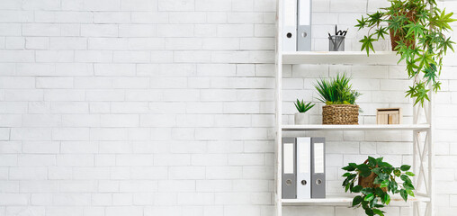 Office bookcase with plants and folders over white wall, empty space © Prostock-studio