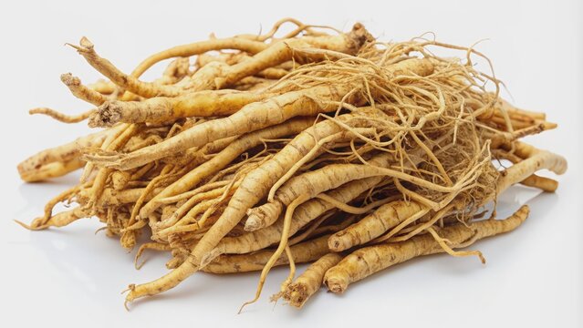 Siberian ginseng roots, also known as eleuthero, lie scattered on a white background, awaiting preparation for traditional herbal medicine tinctures and remedies, showcasing their earthy texture.