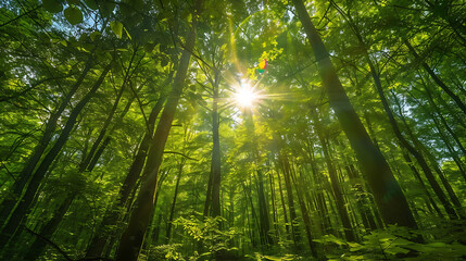 Obraz premium Majestic Mountain Range Under Clear Blue Sky