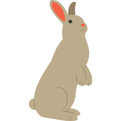 Cute Rabbit Illustration
