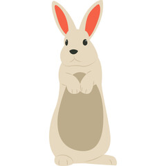 Cute Rabbit Illustration