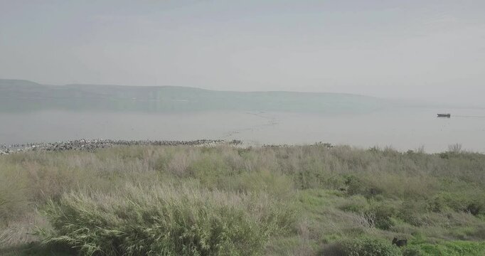 Single Boat in the Sea of Galilee
Flying over Sea of Galilee with single boat

