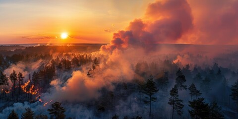Fototapeta premium Sunset colors blaze across sky above wildfire in forest