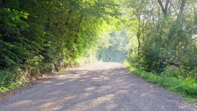 A middle aged woman everyday activities free time hobby cycling on a bicycle green forest countryside of Maribor active motion after work serious ordinary casual mum mother red-haired person Slovenia