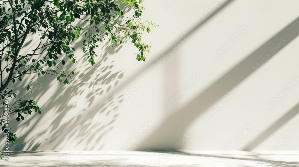 Poster Sunlit green branch casting shadow on white wall and floor, empty space.