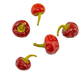 Pickled Peppers -red pepper