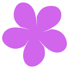 purple flower isolated on white