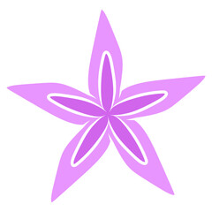 purple star flower 