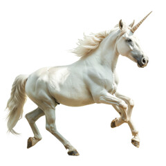 Unicorn isolated on transparent or white background