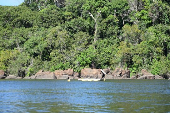 Rio Xingu